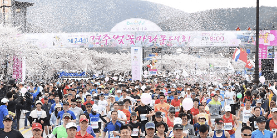 💡스포츠행사 관련주 및 테마주 [2024년 최신]💡